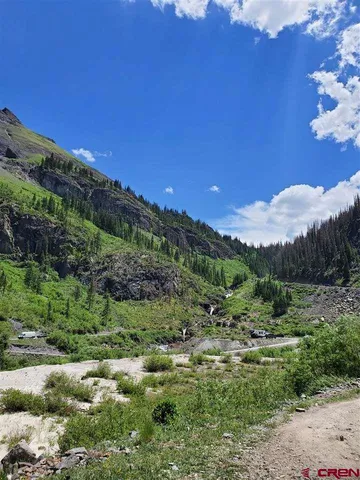 a view of a lush green field