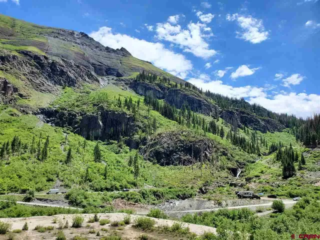 a view of a garden with a pathway