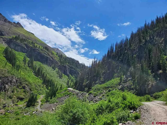 a view of a yard with lots of green space