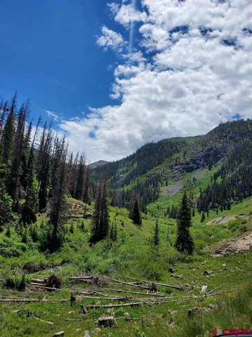 a view of a green field with lots of bushes