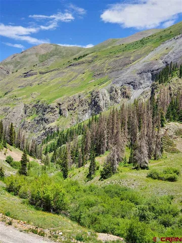 a view of a yard with an outdoor space