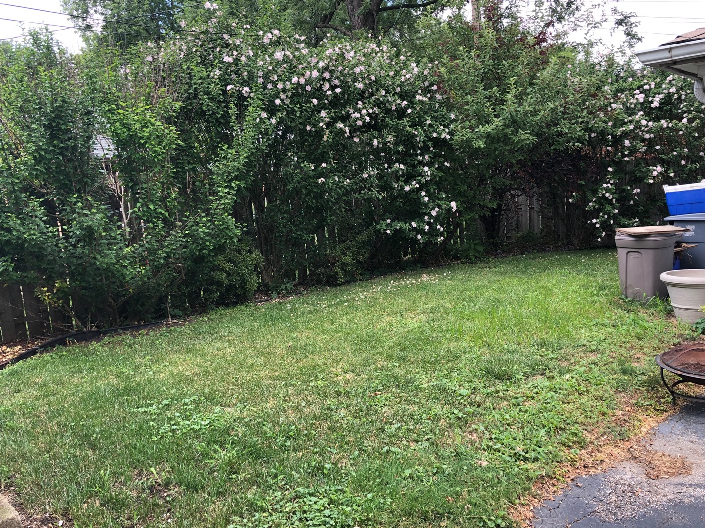 197 West Butterfield Road Elmhurst, IL 60126 - Photo 15 of 15 a view of a backyard with a trees