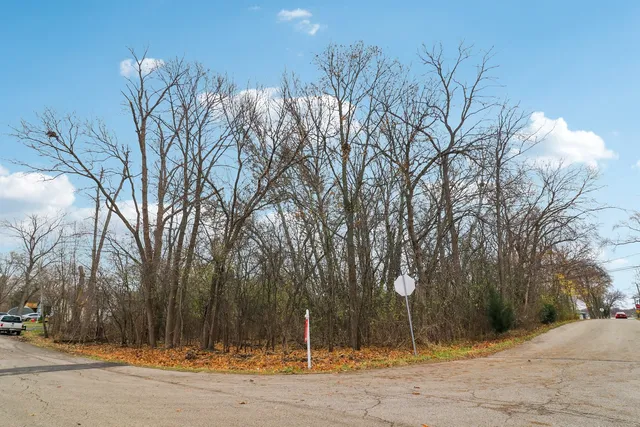 a view of a yard with trees