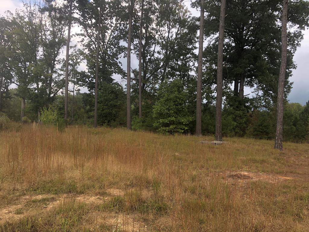 South Genito Road Amelia Court House, VA 23002 - Photo 2 of 4 Gallery Image 2