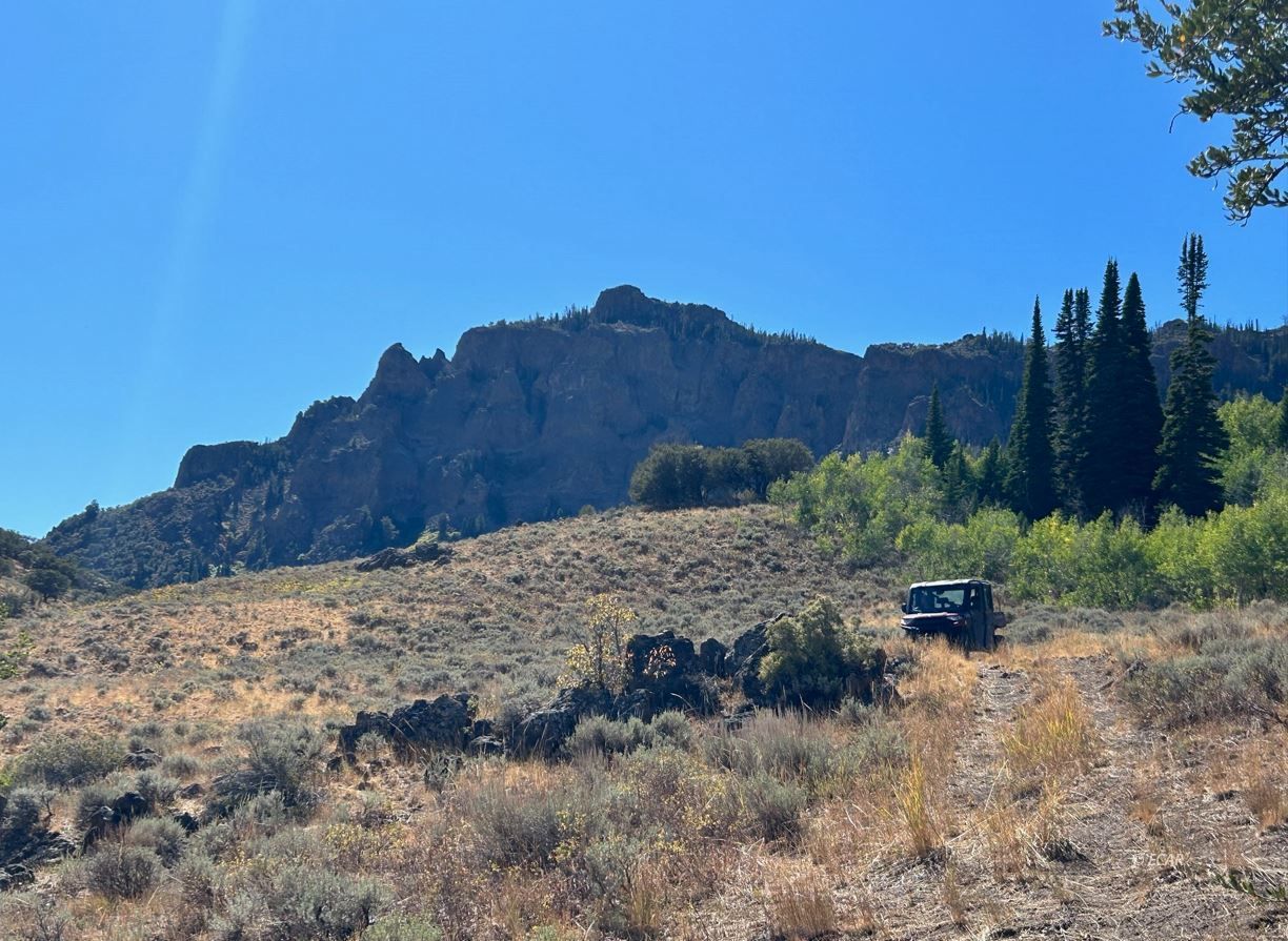 Wild Cat Road Road Jarbidge, NV 89826 - Photo 4 of 10