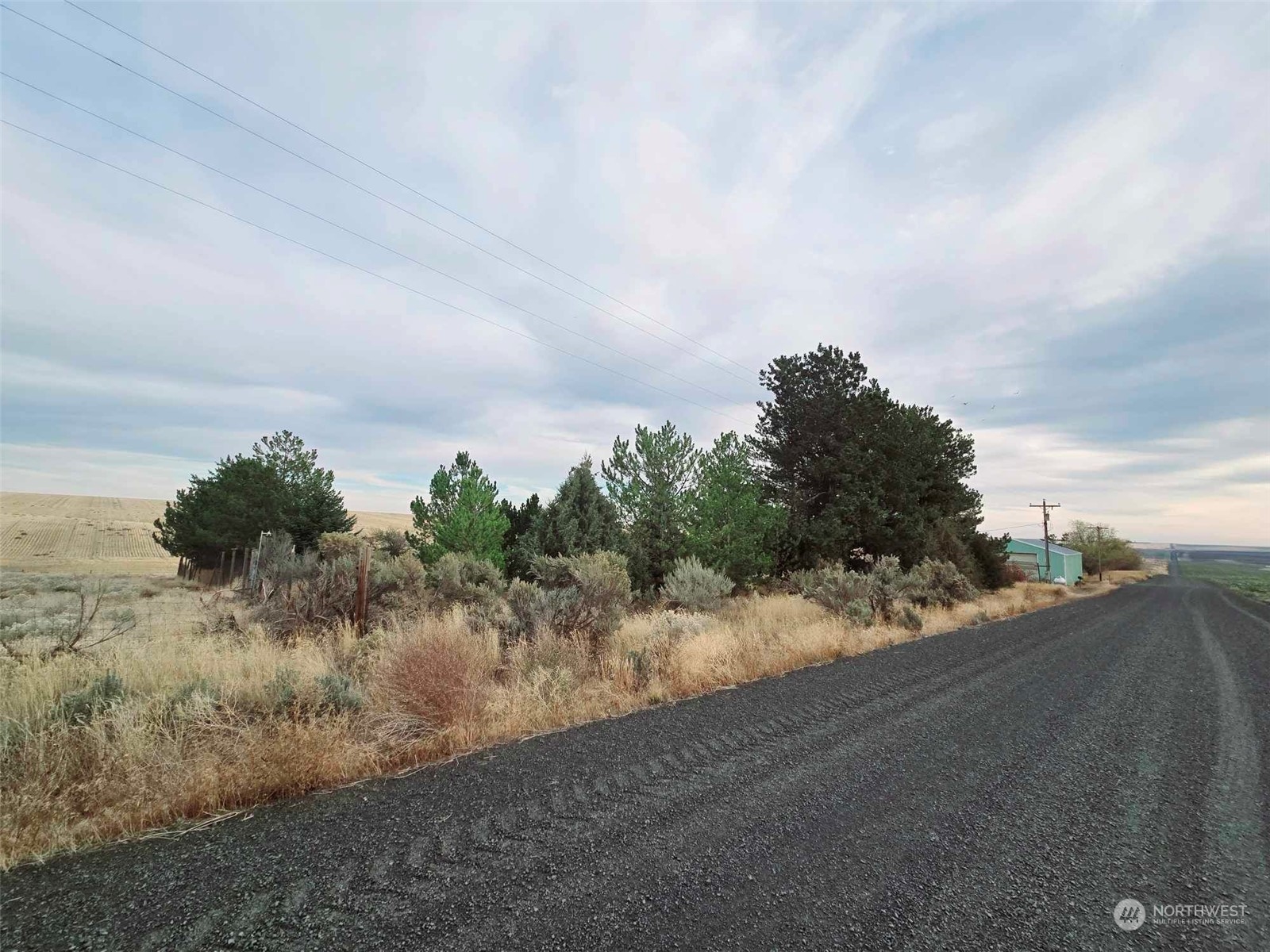1399 North Wahl Road Ritzville, WA 99169 - Photo 29 of 30 a view of a road with a yard in back