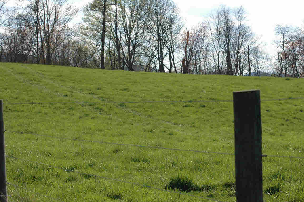 Lot J Springdale Road Pearisburg, VA 24134 - Photo 17 of 51 Gallery Image 17