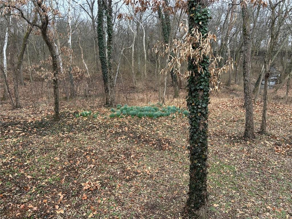 15150 East Quaker Road Nevada, MO 64772 - Photo 47 of 48