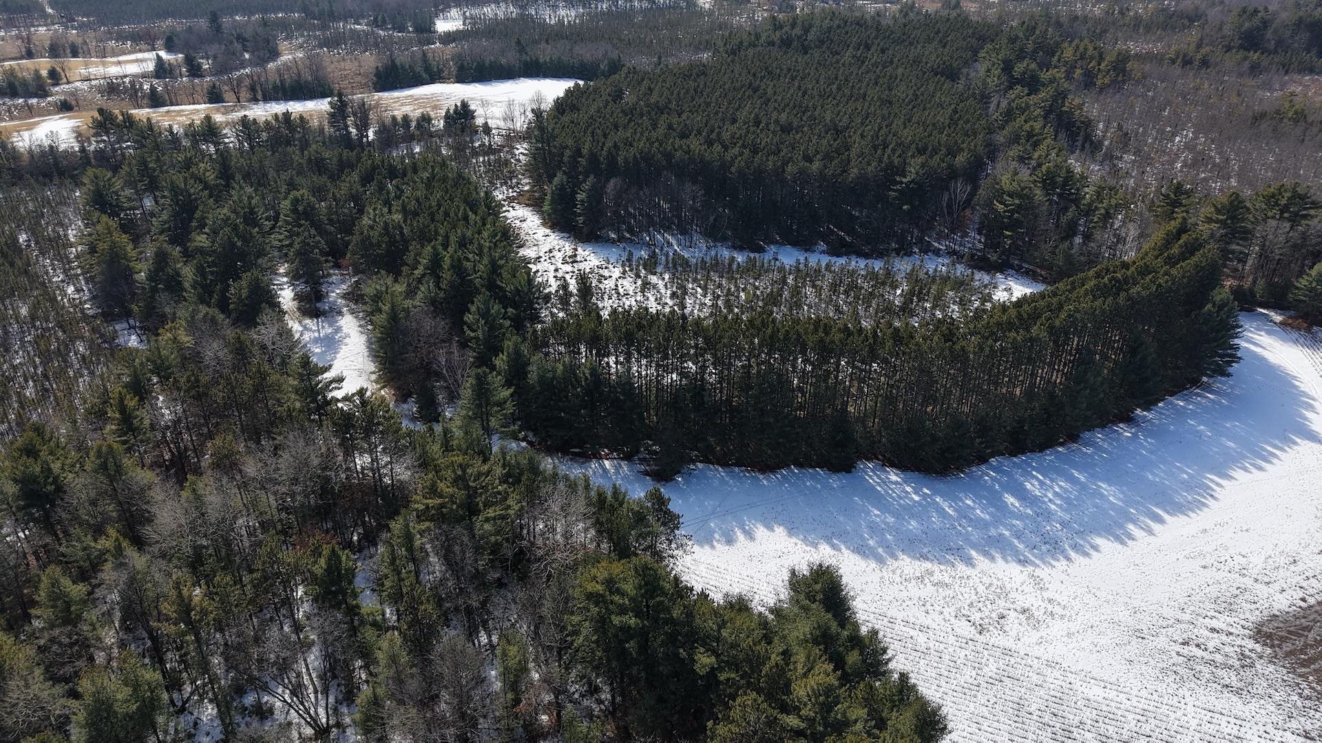 80-ac King Lane Rosholt, WI 54473 - Photo 14 of 25