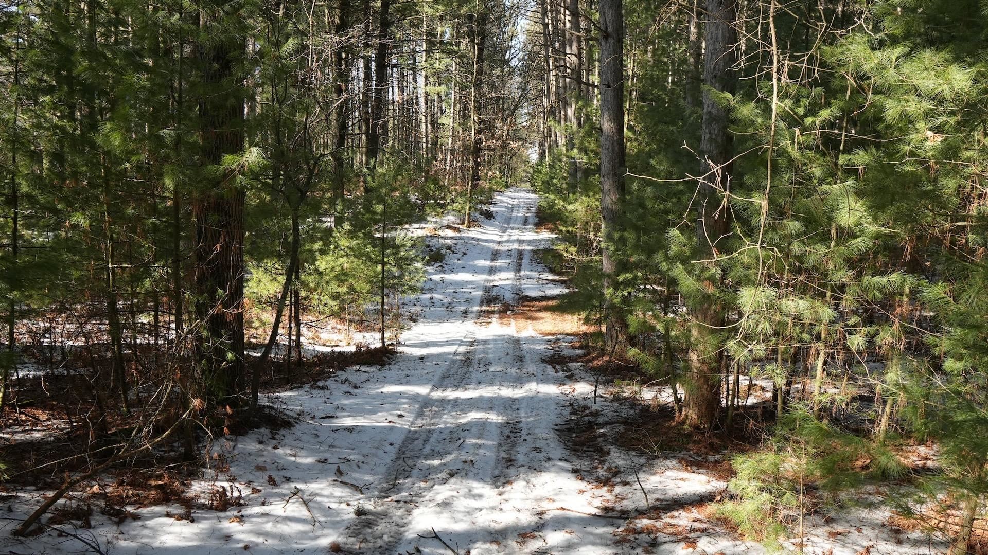 80-ac King Lane Rosholt, WI 54473 - Photo 19 of 25