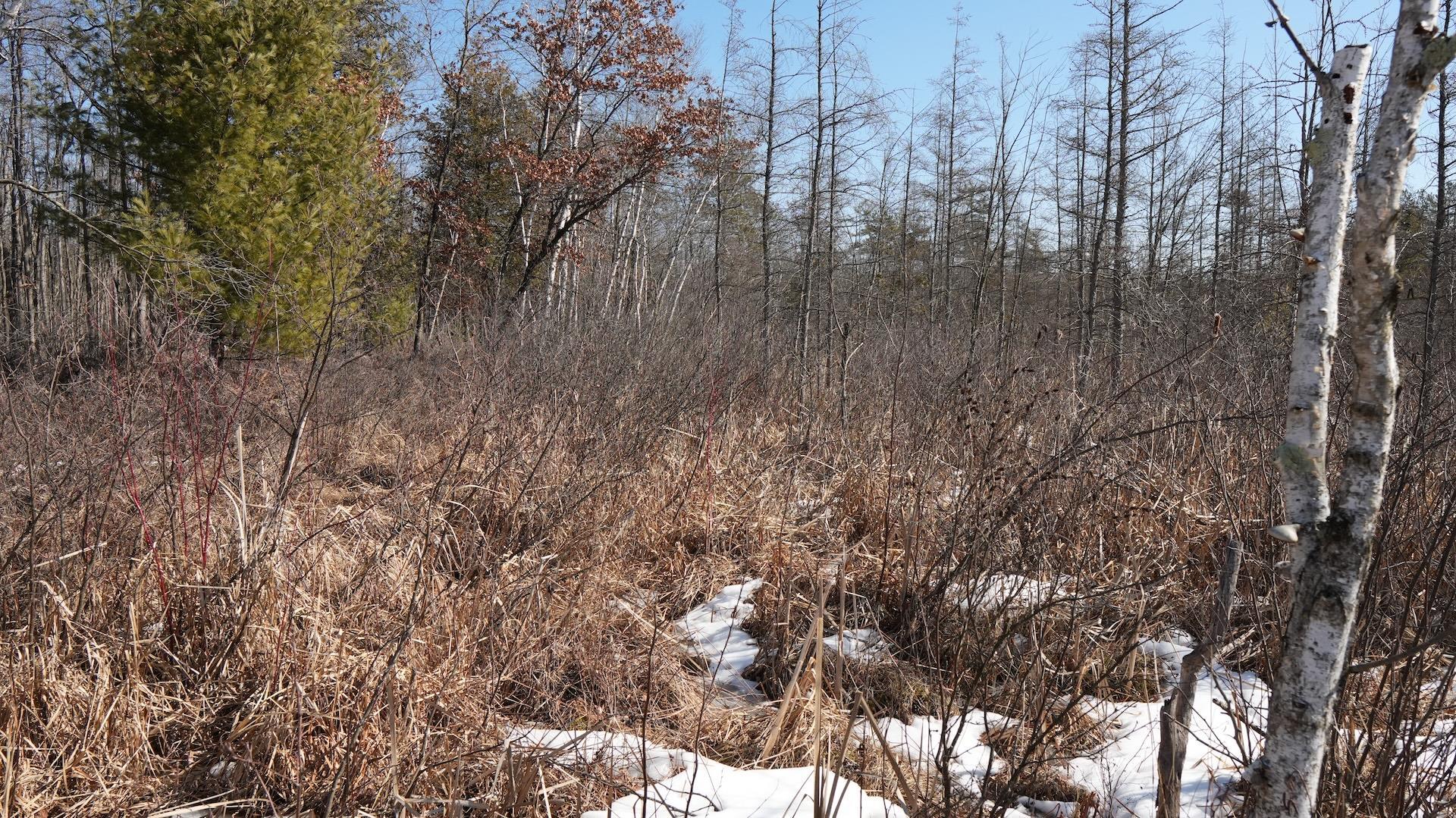 80-ac King Lane Rosholt, WI 54473 - Photo 20 of 25