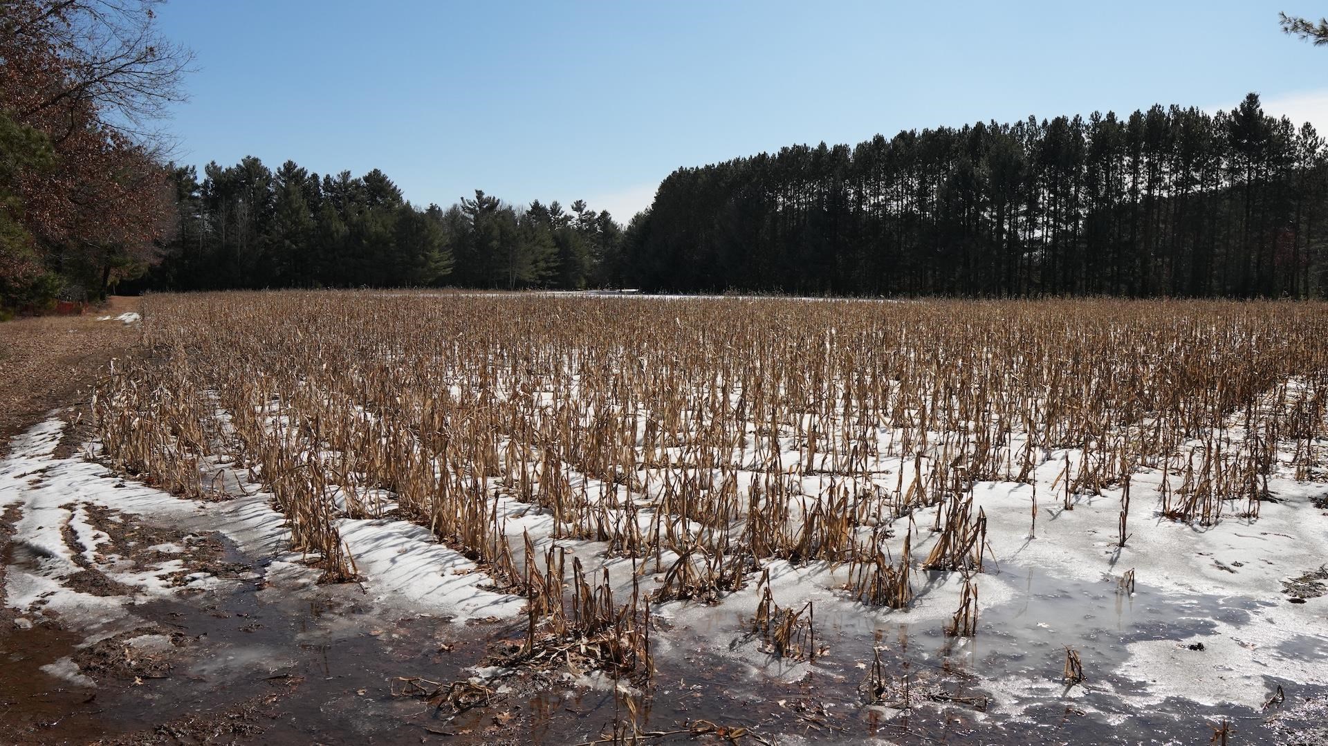 80-ac King Lane Rosholt, WI 54473 - Photo 21 of 25