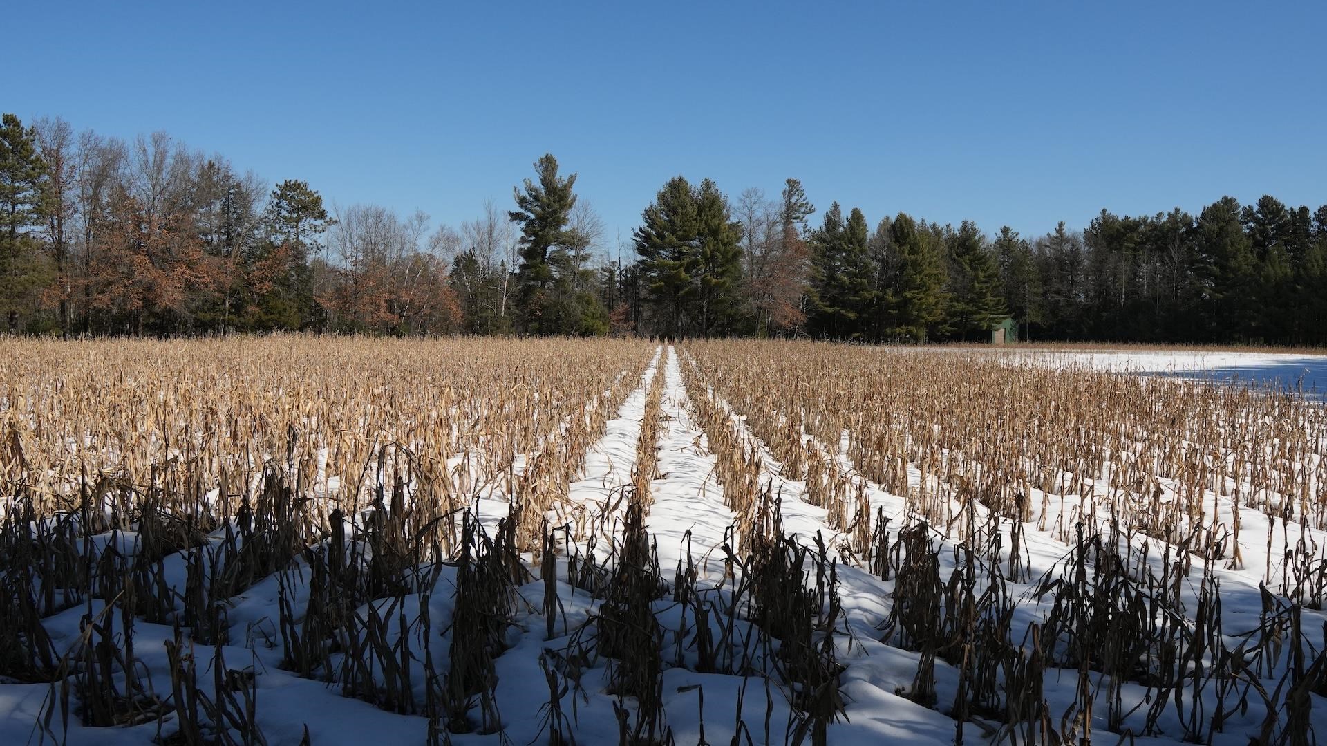 80-ac King Lane Rosholt, WI 54473 - Photo 22 of 25