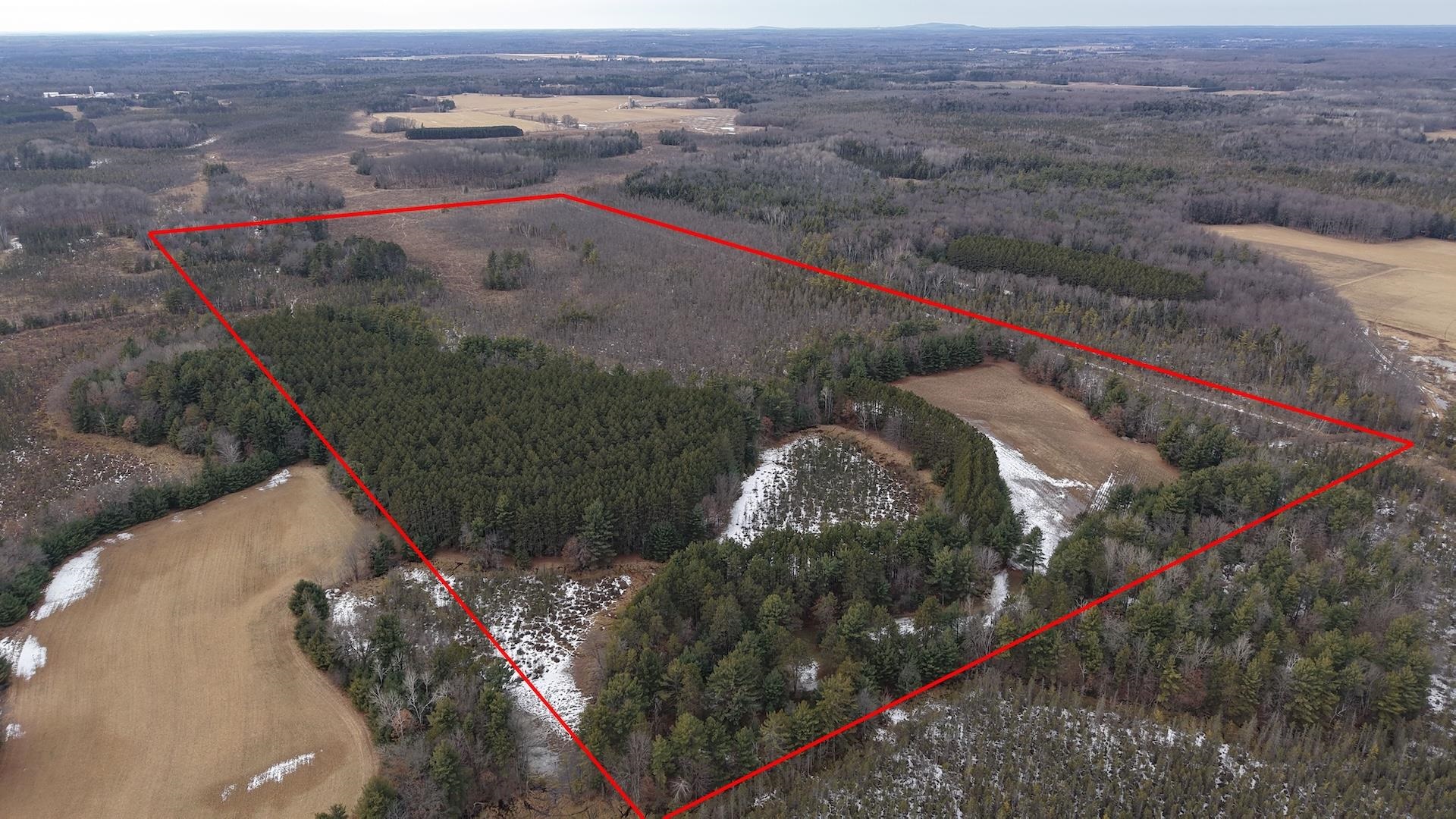 80-ac King Lane Rosholt, WI 54473 - Photo 5 of 25