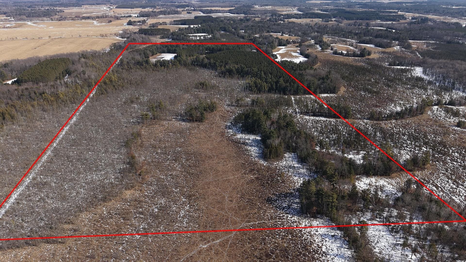 80-ac King Lane Rosholt, WI 54473 - Photo 8 of 25