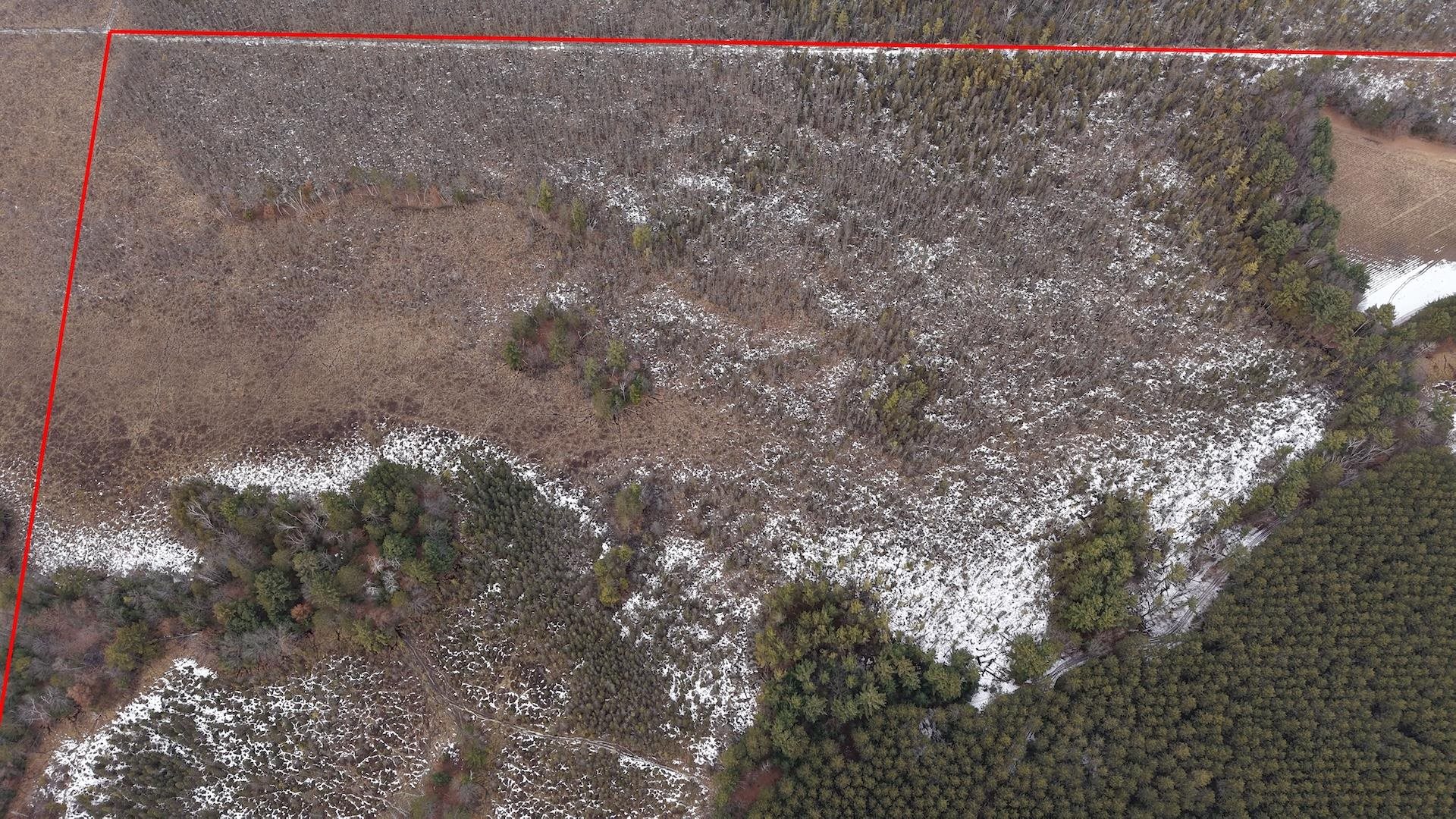 80-ac King Lane Rosholt, WI 54473 - Photo 9 of 25