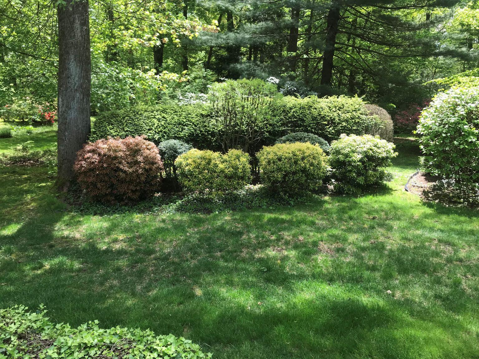 96 West Cross Road New Canaan, CT 06840 - Photo 28 of 33 IMG_8320 resized