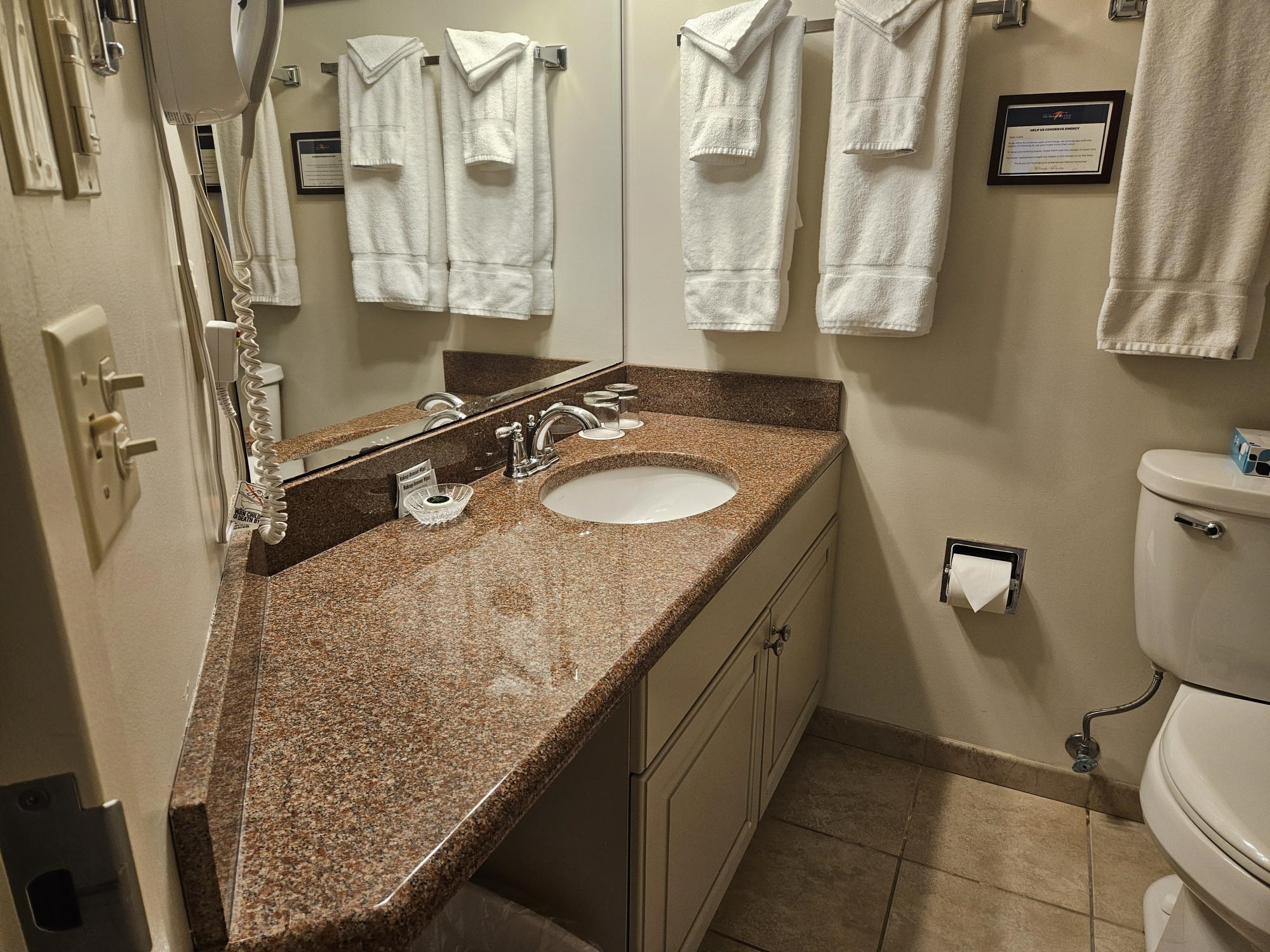 90 Loon Mountain Road, Unit 1161B Lincoln, NH 03251 - Photo 10 of 24