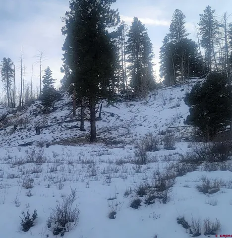 a view of a yard with trees