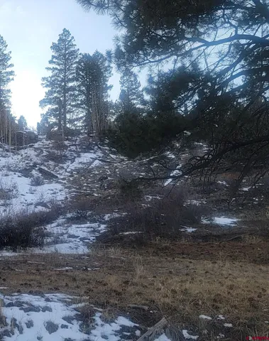 a view of yard with green space