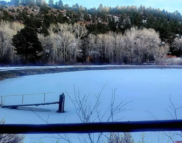 a view of a yard with trees in the background