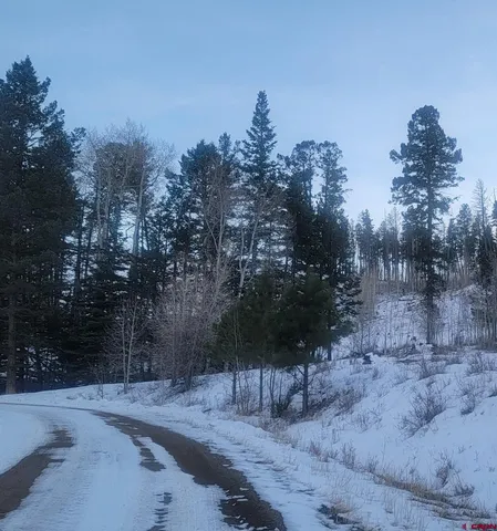 $149,000 | 2887 Willow Park Drive, South Fork, CO 81154