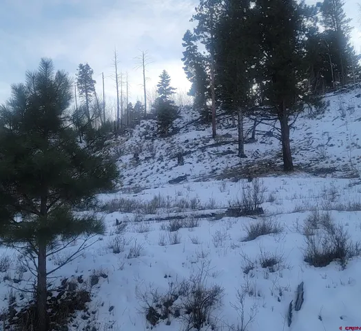 a view of a fountain with tree in the background