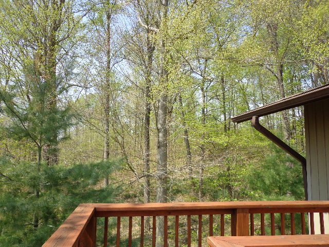 3699 East Gallimore Road Bloomfield, IN 47424 - Photo 12 of 35