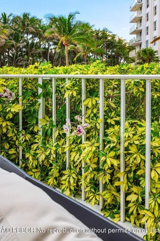 $11,000 | 2295 South Ocean Boulevard, Unit 205, Palm Beach, FL 33480