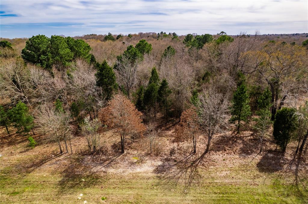 Tbd Tbd Sandbog Athens, TX 75751 - Photo 26 of 32