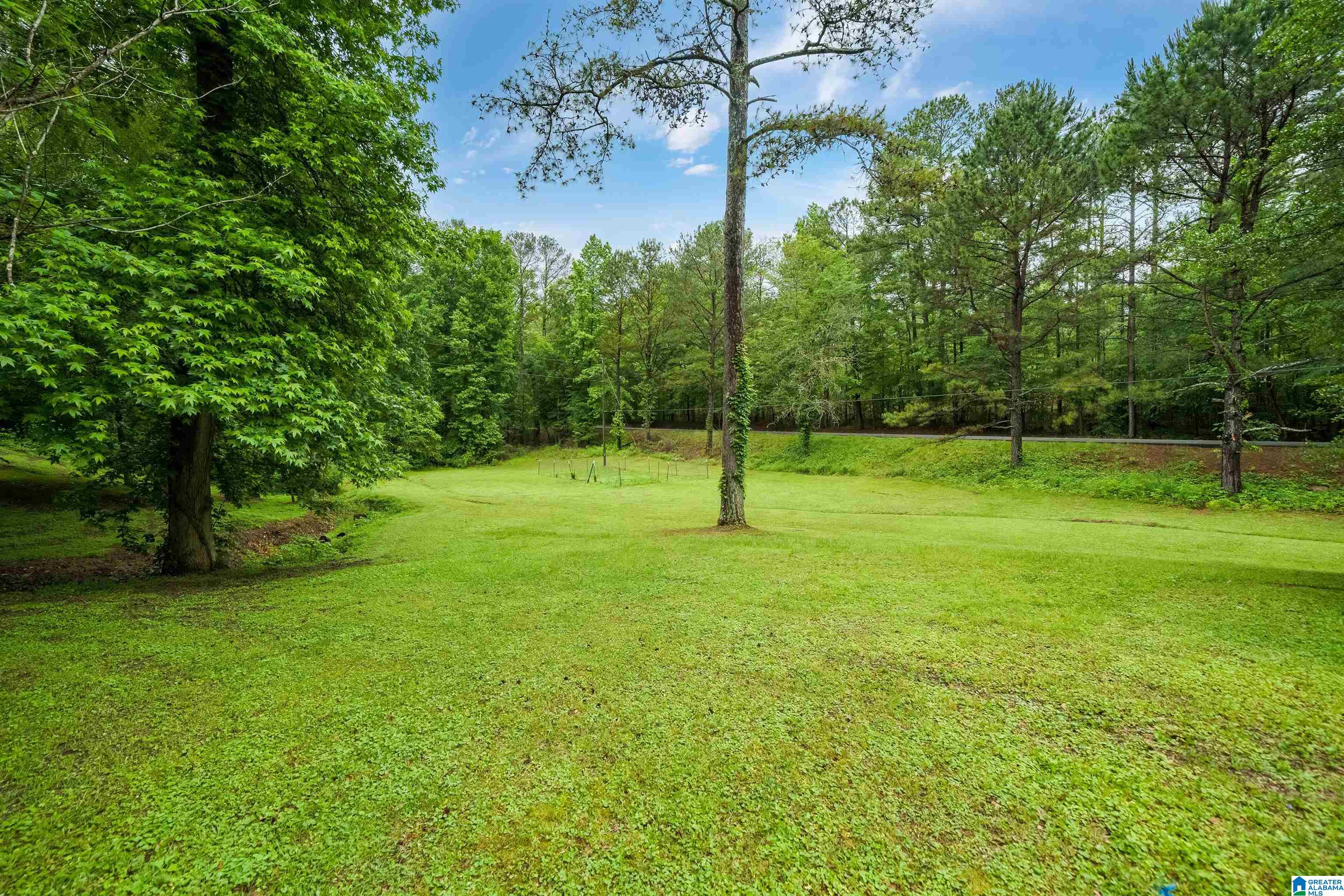 7521 Deer Haven Road Springville, AL 35146 - Photo 35 of 35