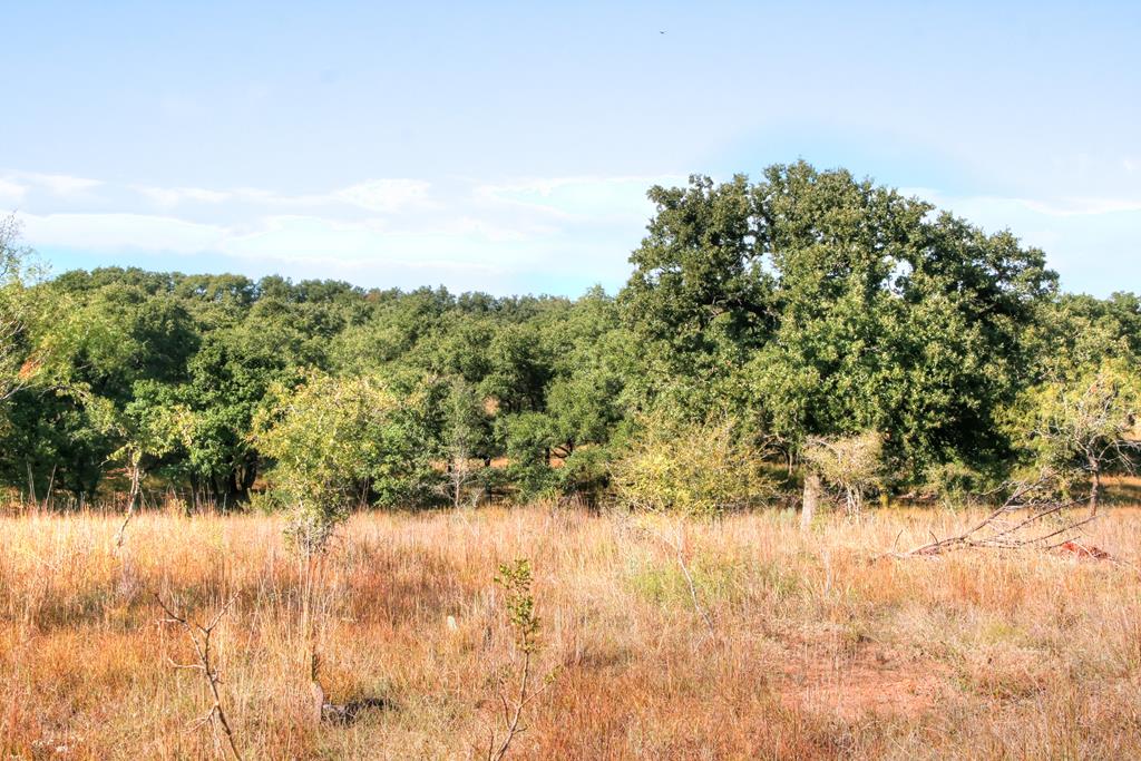 0 Ranch Road 1323 Fredericksburg, TX 78624 - Photo 1 of 1 Main View