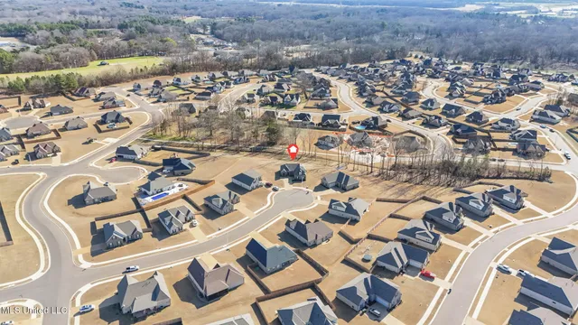 $375,000 | 1802 Millers Cove, Nesbit, MS 38651