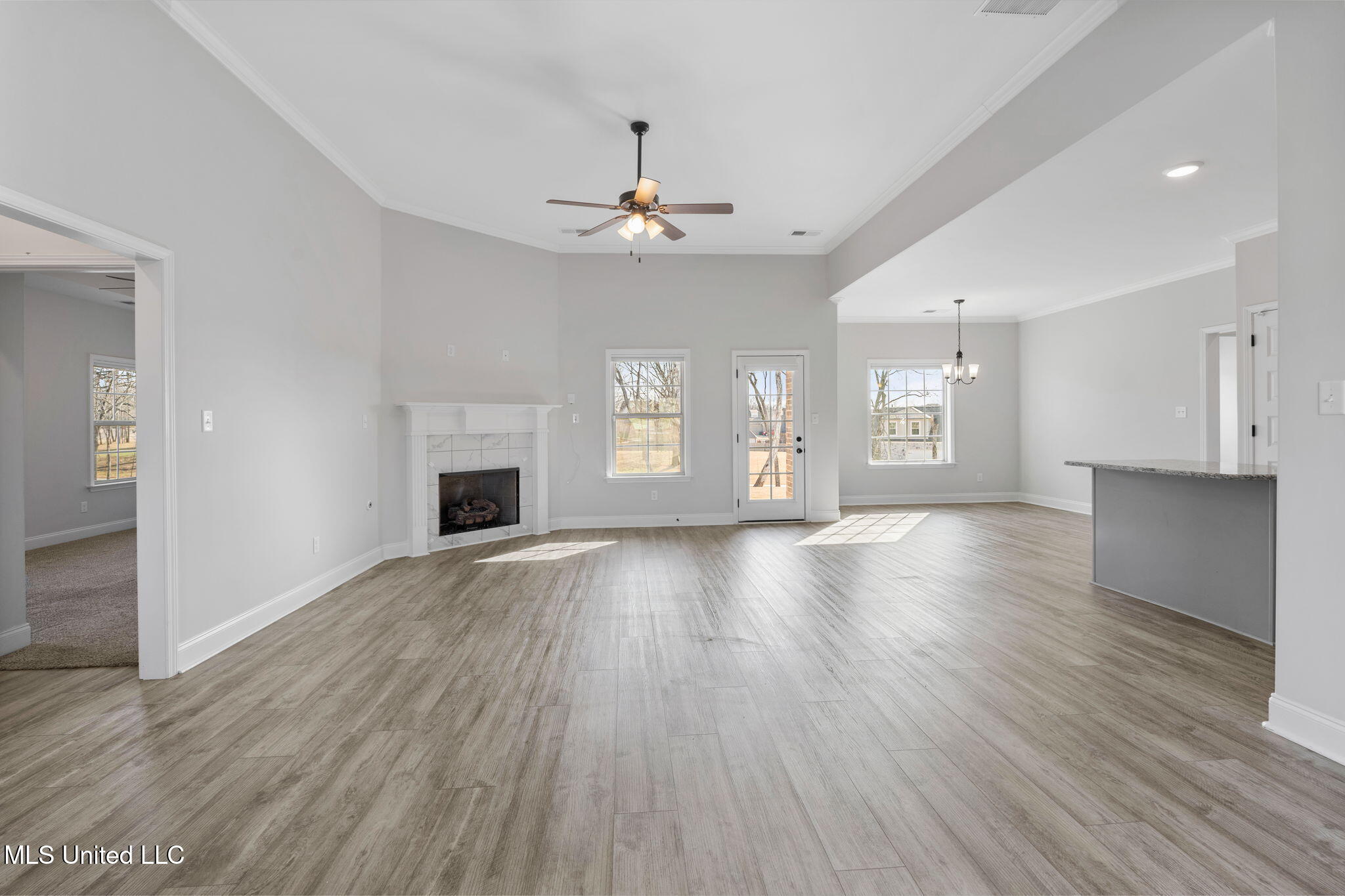 1802 Millers Cove Nesbit, MS 38651 - Photo 7 of 32 7-web-or-mls-1802 Millers Cv%0A-06