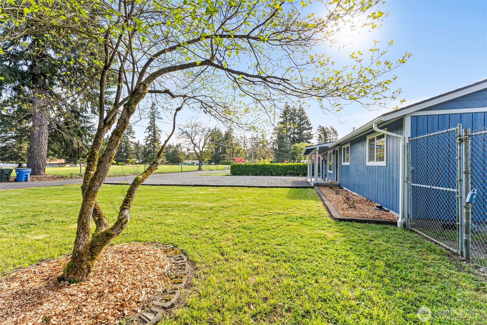 9037 178th Avenue Southwest Rochester, WA 98579 - Photo 26 of 33 a view of a backyard with large trees