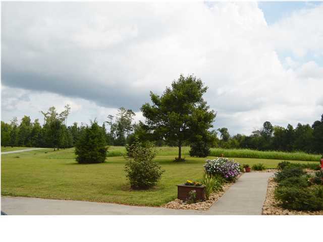 4600 Clonts Road Apison, TN 37302 - Photo 4 of 36 Additional Photo