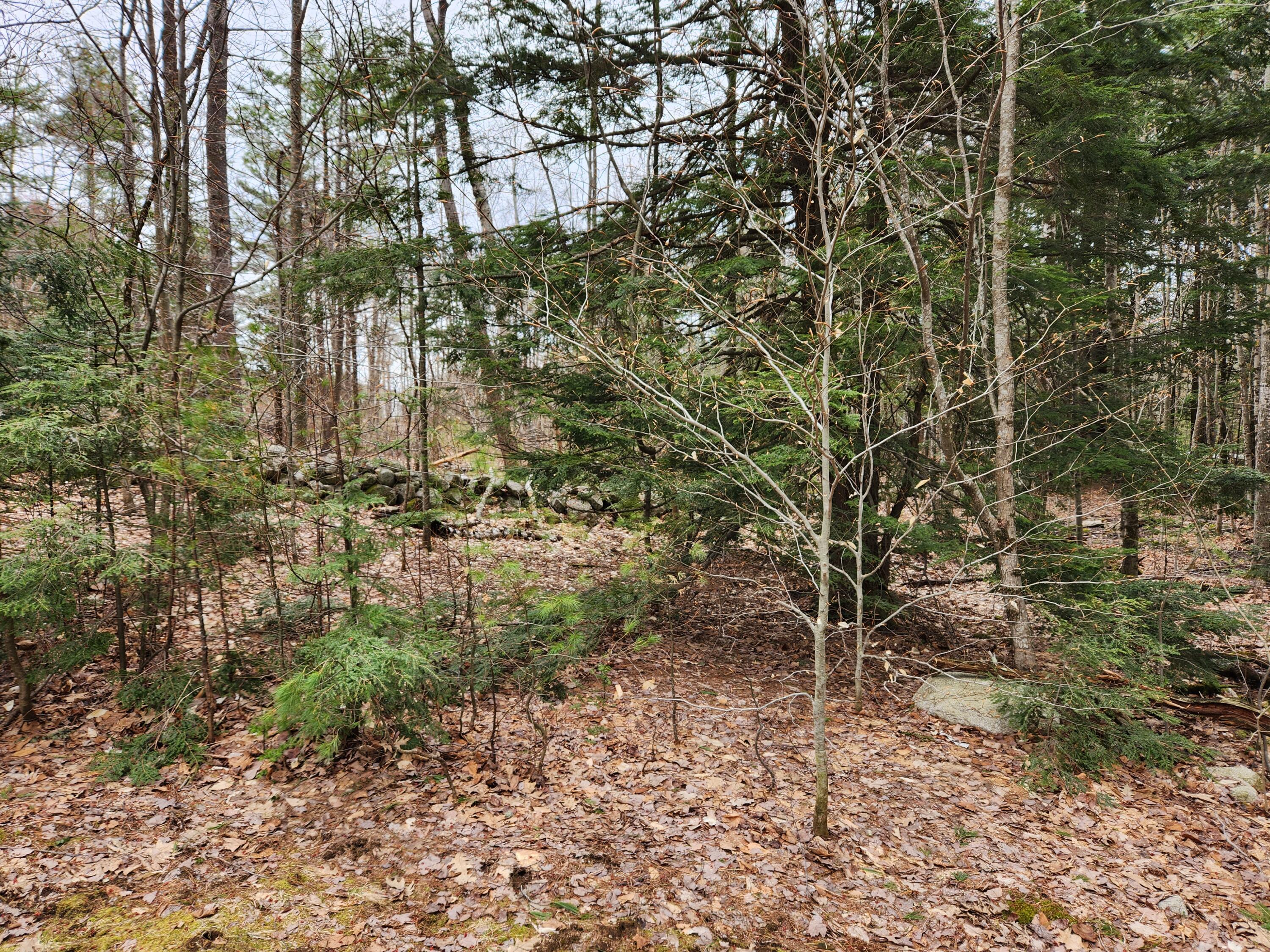 429 Robinson Hill Road Oxford, ME 04270 - Photo 19 of 93 20230427_122559