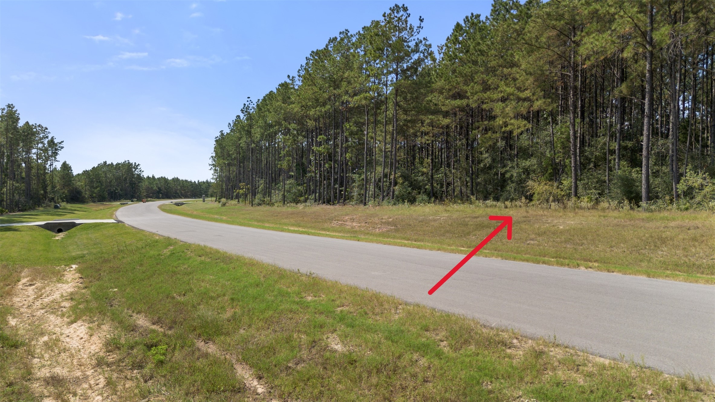 15896 Ridge Oak Road Willis, TX 77378 - Photo 9 of 23 a view of a park with large trees