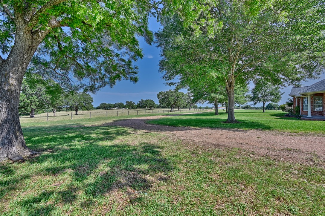 2120 Hohenwalde School Road Brenham, TX 77833 - Photo 4 of 30 a view of a park with large trees