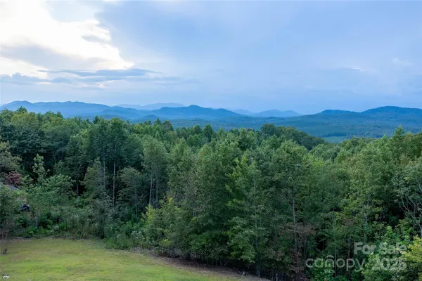 $1,615,000 | 334 Scenic Vista Drive, Nebo, NC 28761