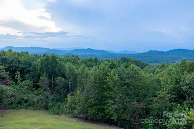 $1,620,000 | 334 Scenic Vista Drive, Nebo, NC 28761