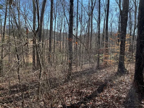 $5,000 | Lot #12 East The Woodlands, Hayesville, NC 28904