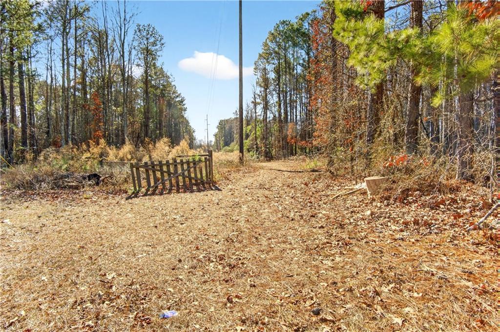 3907 McKown Road Douglasville, GA 30134 - Photo 11 of 19 a view of a yard with large trees