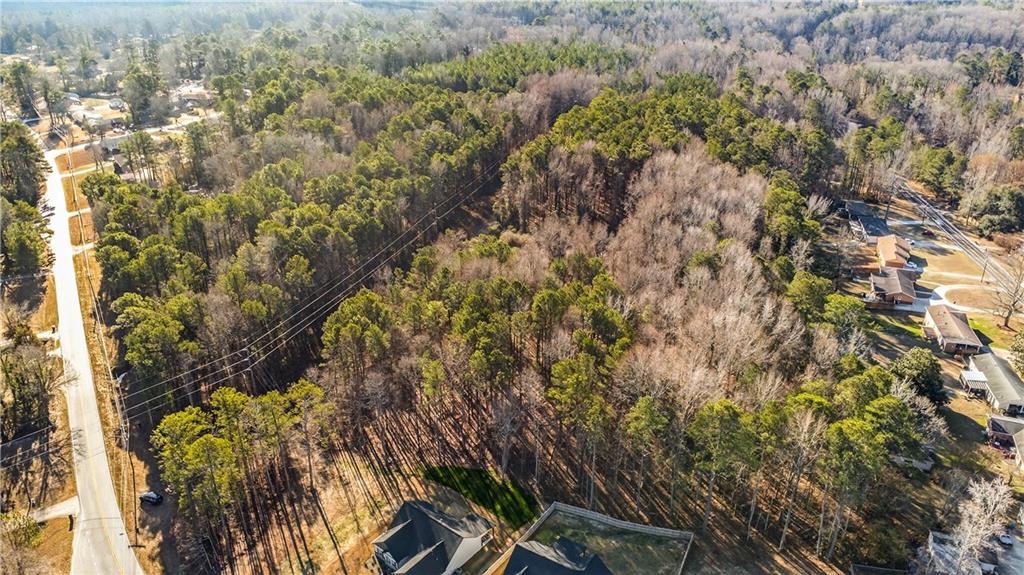 3907 McKown Road Douglasville, GA 30134 - Photo 3 of 19 a view of a tree in a forest