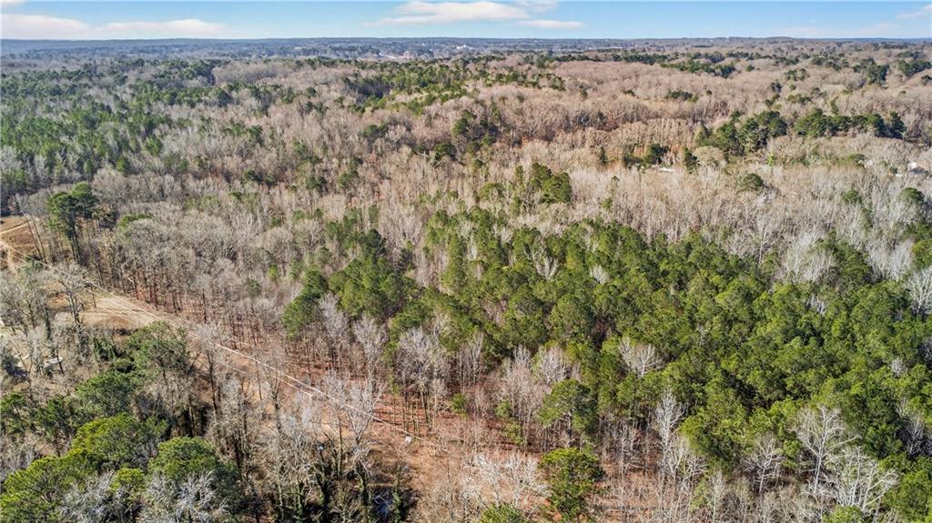 3907 McKown Road Douglasville, GA 30134 - Photo 7 of 19 a view of a forest