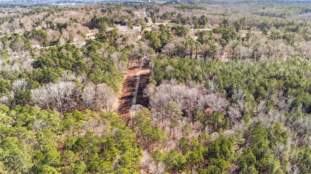 3907 McKown Road Douglasville, GA 30134 - Photo 9 of 19 a view of a house with a lush green forest