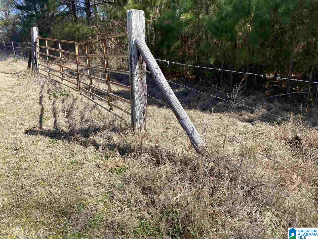 1560 Oren Miller Road, Unit 1 Warrior, AL 35180 - Photo 11 of 19