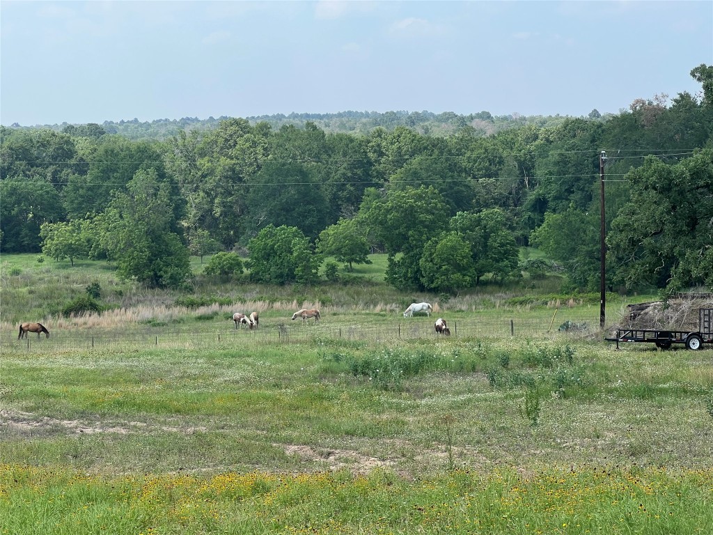 702 Paint Creek Road McDade, TX 78650 - Photo 2 of 40 a view of a lush green space