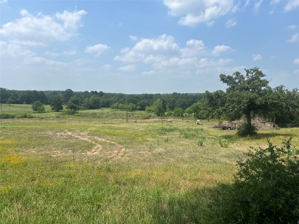 702 Paint Creek Road McDade, TX 78650 - Photo 8 of 40 a view of a lake with houses in the back
