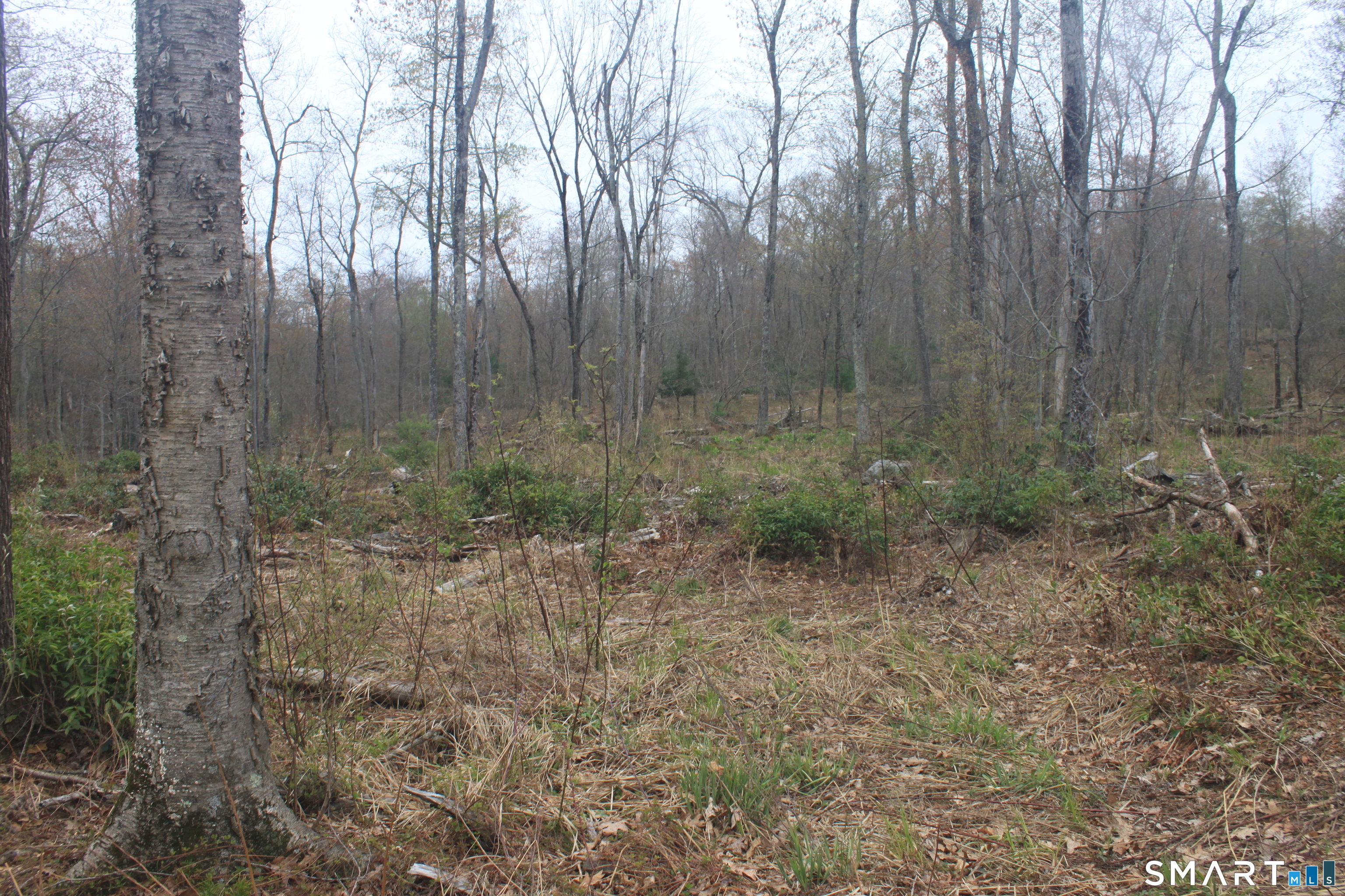 Nepaug Road Burlington, CT 06013 - Photo 11 of 17
